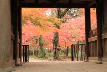 東禅寺