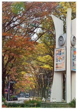 朝の日に染まり輝く常盤平駅南口