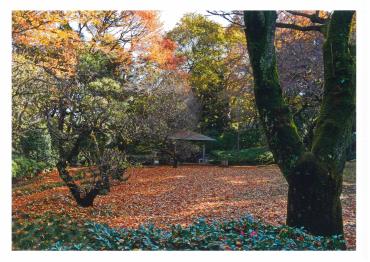 戸定邸は春の桜、梅、新緑、秋の紅葉等が四季を通じて美しい風景を楽しませてくれます