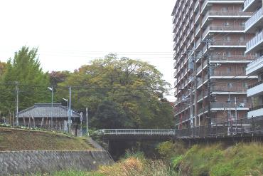 春雨橋を臨む