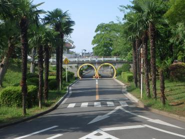 少しさみしいユーカリ交通公園