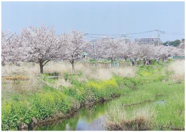 国分川　獅子舞橋