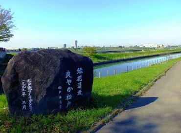 このあたりから眺める江戸川風景