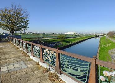 このあたりから眺める江戸川風景