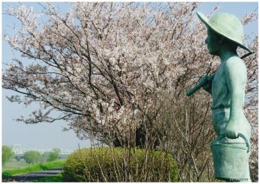 川の一里塚に咲く桜