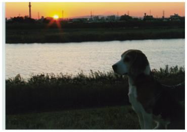 夕日が沈む川辺での一枚