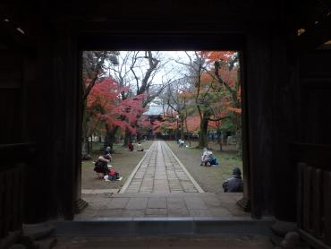 山門から見える紅葉