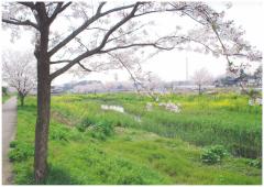 桜と和名ヶ谷クリーンタワー