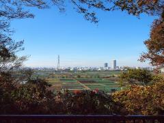 矢切の田園風景