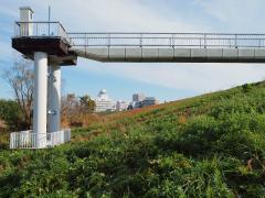 矢切の田園風景