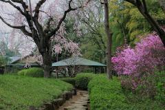 四季折々の自然が楽しめる戸定が丘歴史公園