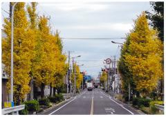 私の散歩道