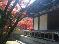 東漸寺