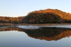 秋浅い紅葉の始まりの池