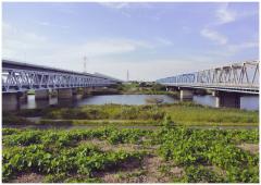 葛飾橋・葛飾大橋