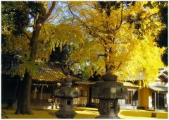 風早神社