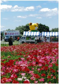 江戸川フラワーライン（春）