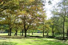 21世紀の森と広場「初秋の風景」