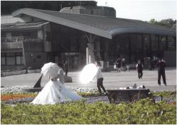松戸21世紀の森のセンター広場
