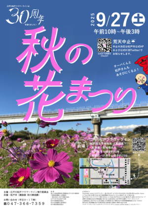 チラシおもて