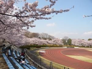 松戸運動公園の写真