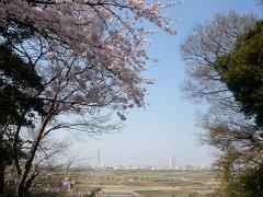 野菊苑展望台から見た風景の写真