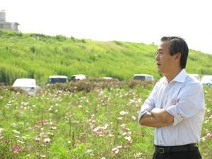 江戸川フラワーラインコスモス祭り