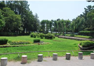 公園のイメージ画像