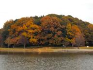 今年の紅葉も、そろそろ終わり