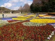 色とりどりの春花壇