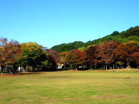 紅葉情報