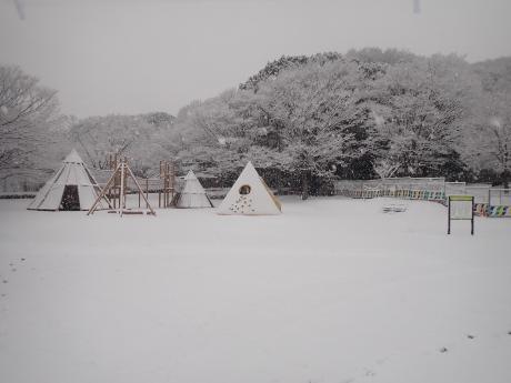 新年の初雪