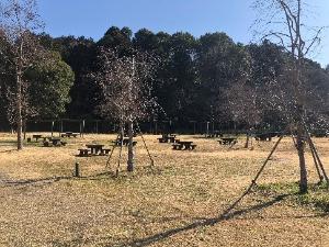 里の茶屋周辺