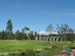 東松戸ゆいの花公園の写真5